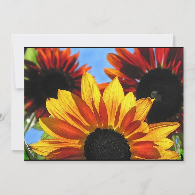 Sunflower Garden Summer Solstice Party Invitation (Front)