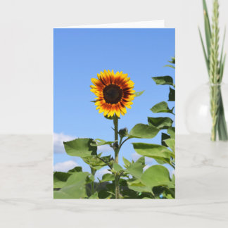 Sunflower géante - Bonne carte de voeux