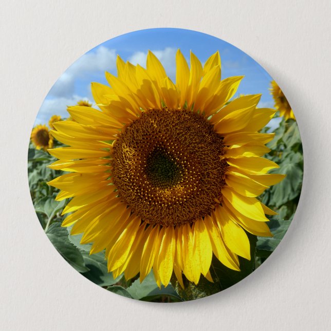 Sunflower Giant Badge 4 Inch Round Button (Front)