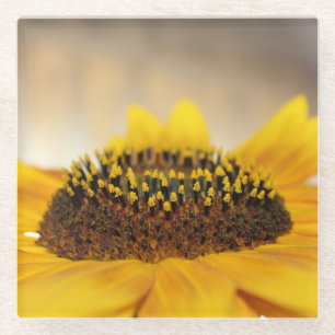 Sunflower Glass Coaster