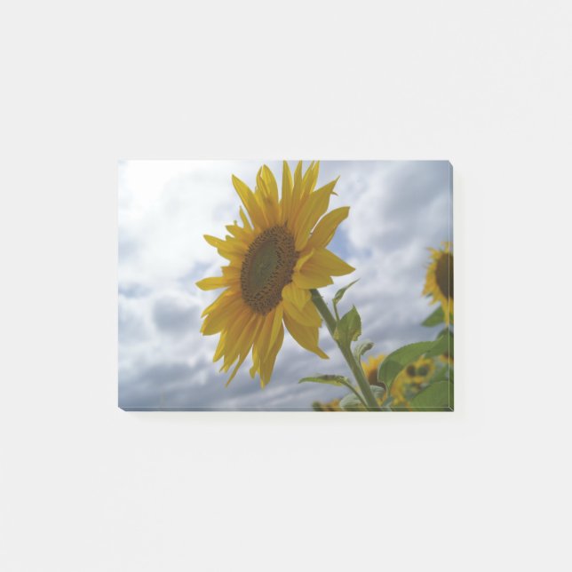 Sunflower Glory Post-it Notes (Front)