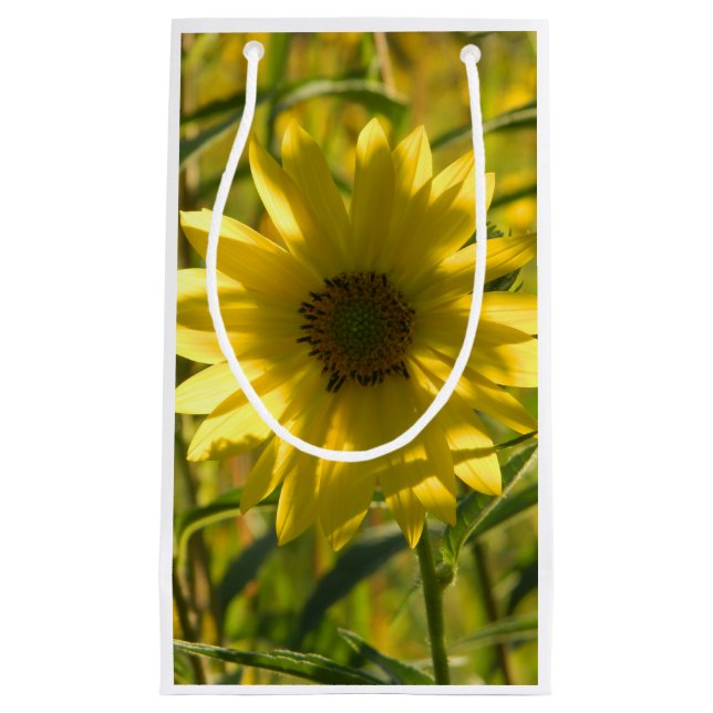 Sunflower Glow Gift Bag (Front)
