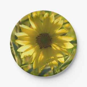 Sunflower Glow Paper Plates