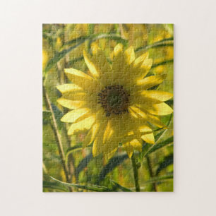 Sunflower Glow Puzzle