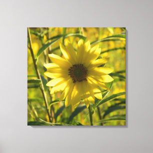Sunflower Glow Wrapped Canvas Print 24x24