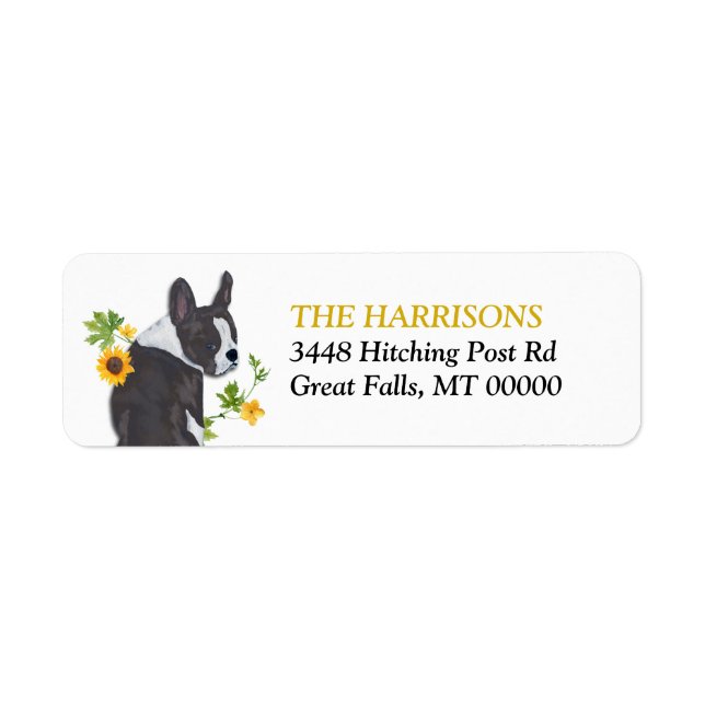 Sunflower Gold Boston Terrier Dog Adresse de retou (Devant)