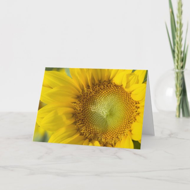 Sunflower Gold Shadow Card (Front)