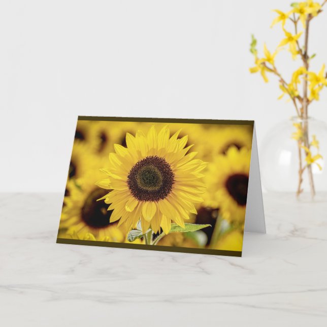 Sunflower Greeting Card (Yellow Flower)