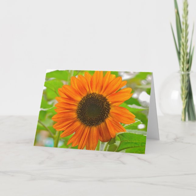 Sunflower Greeting Card (Front)