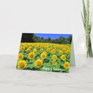 Sunflower：Greeting Card