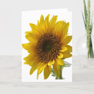 Sunflower greeting Card for Her