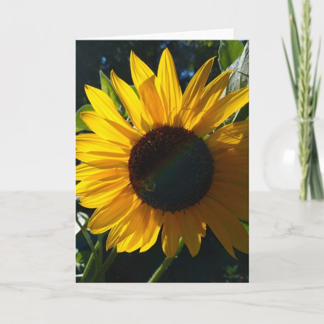 Sunflower Greetings - Blank Inside Card (Front)