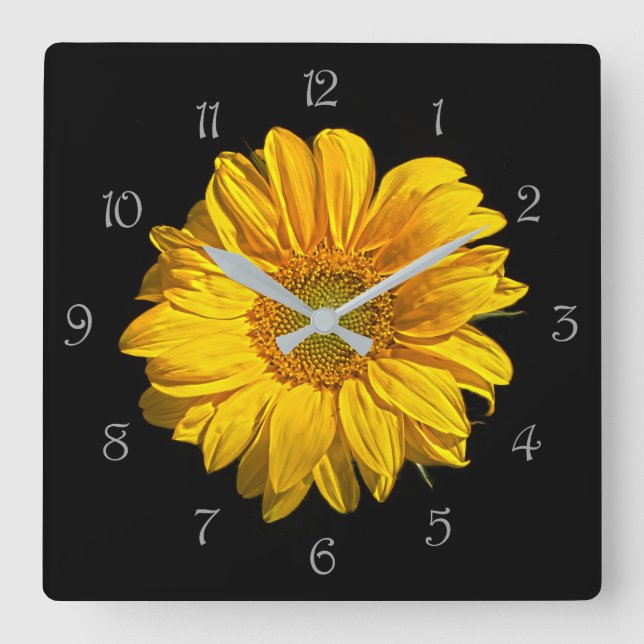 Sunflower Grey Script Numbers wcm Square Wall Clock (Front)