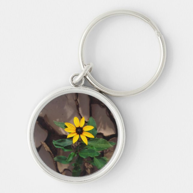 Sunflower growing from Cracked Mud Keychain (Front)