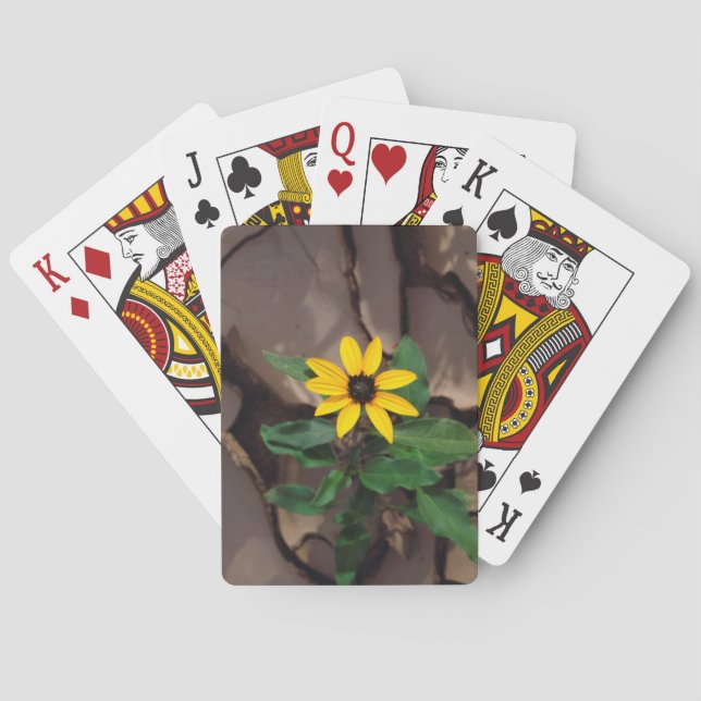 Sunflower growing from Cracked Mud Playing Cards (Back)