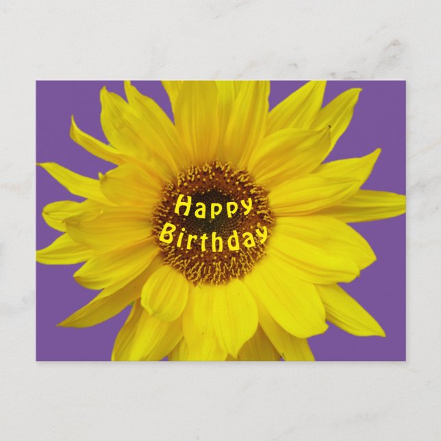 Sunflower Happy Birthday Postcard (Front)