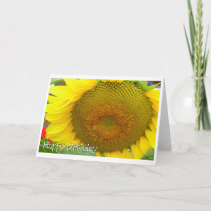 sunflower happy card