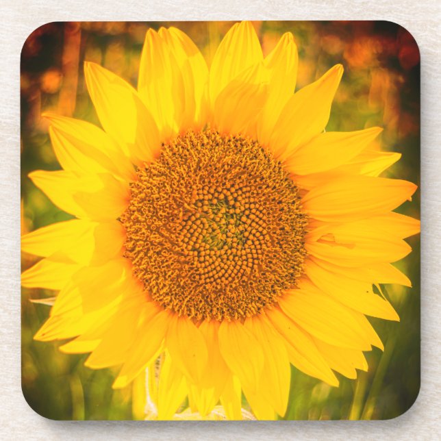 "Sunflower" Hard plastic coaster (Front)