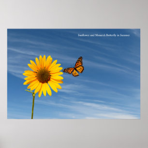 Sunflower image for Poster