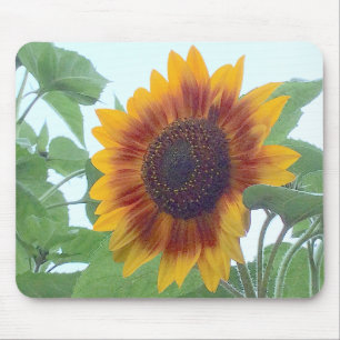 Sunflower in a Pale Blue Sky --- Mouse Pad