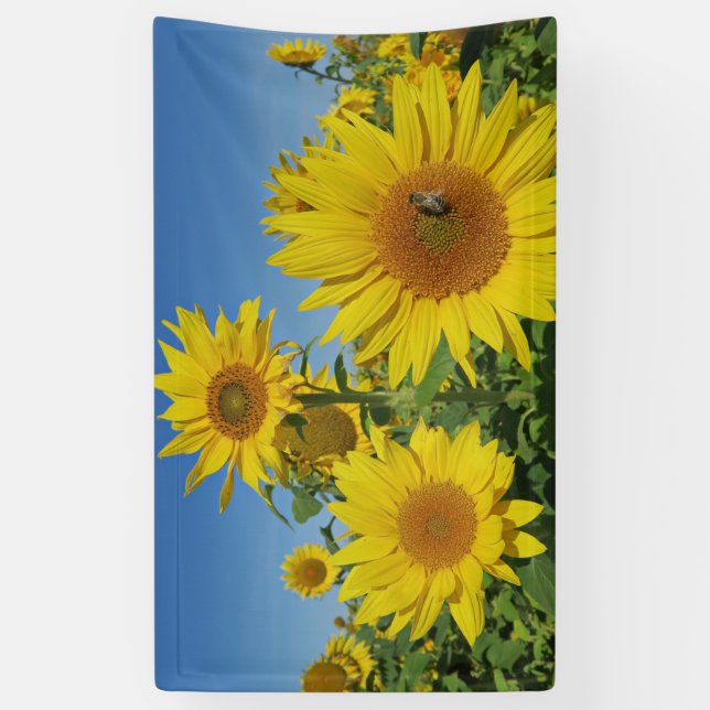 sunflower in blue sky colourful summer blossom banner (Vertical)