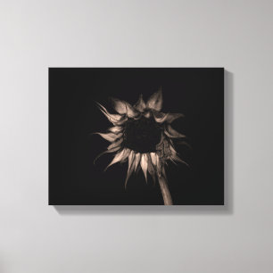 Sunflower in Sepia Fine Art Photograph Unique Cool Canvas Print