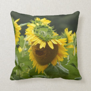 Sunflower in the Rain Throw Pillow