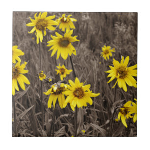 Sunflower in the Rocky Mountain Tile