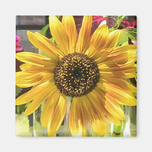 Sunflower in the Sun Magnet