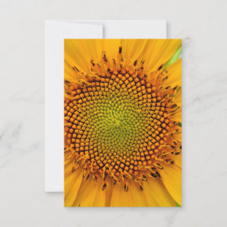 Sunflower Invitation