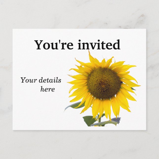 Sunflower invitation Postcard (Front)