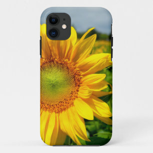 Sunflower iPhone 5 case