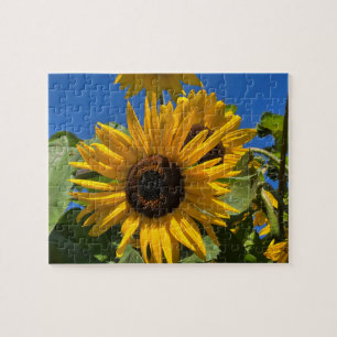 Sunflower Jigsaw Puzzle