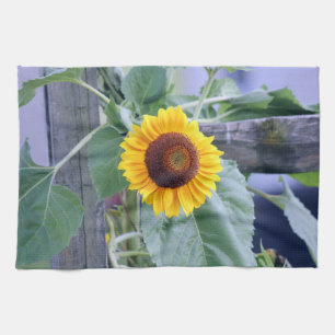 sunflower kitchen towel