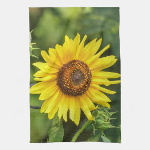 Sunflower  kitchen towel