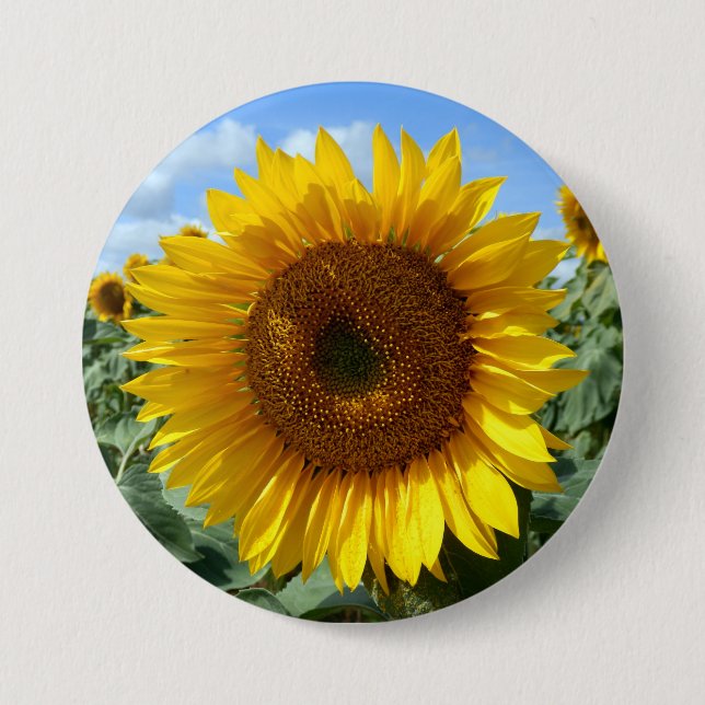 Sunflower Large Round Badge 3 Inch Round Button (Front)