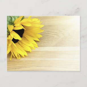 Sunflower laying on a wooden table postcard
