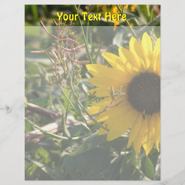 Sunflower Letterhead (Front)