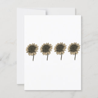 Sunflower Live, Laugh, Love Postcard