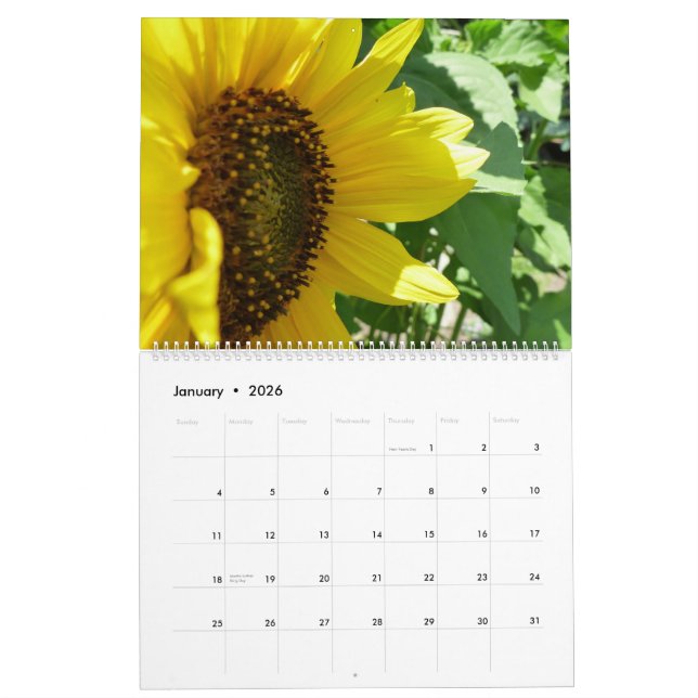 Sunflower Love Calendar (Jan 2026)