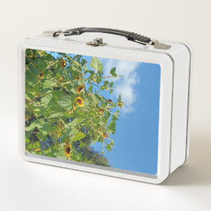Sunflower Lunchbox