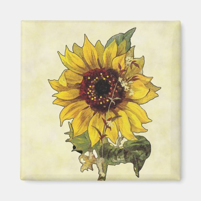 Sunflower Magnet (Front)