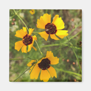 Sunflower Magnet