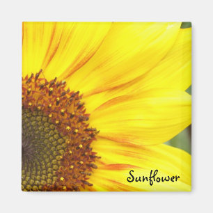 Sunflower Magnet