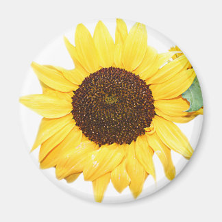 SunFlower Magnet