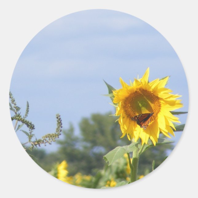 Sunflower Monarch - Customize! Classic Round Sticker (Front)