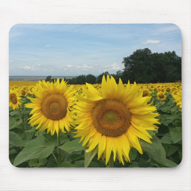 Sunflower Mousepad (Front)
