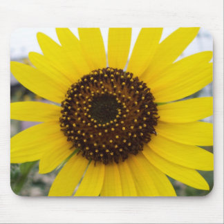 Sunflower mousepad