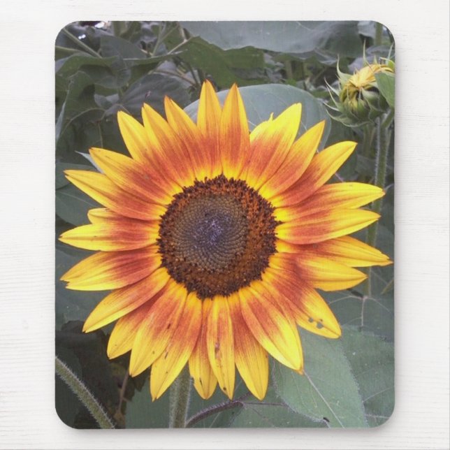 Sunflower Mousepad (Front)