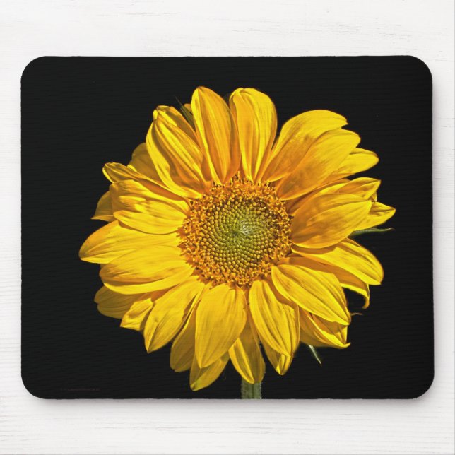Sunflower mpcnm mouse pad (Front)